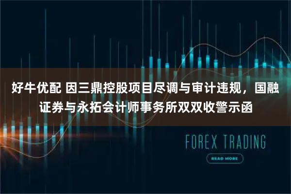 好牛优配 因三鼎控股项目尽调与审计违规，国融证券与永拓会计师事务所双双收警示函